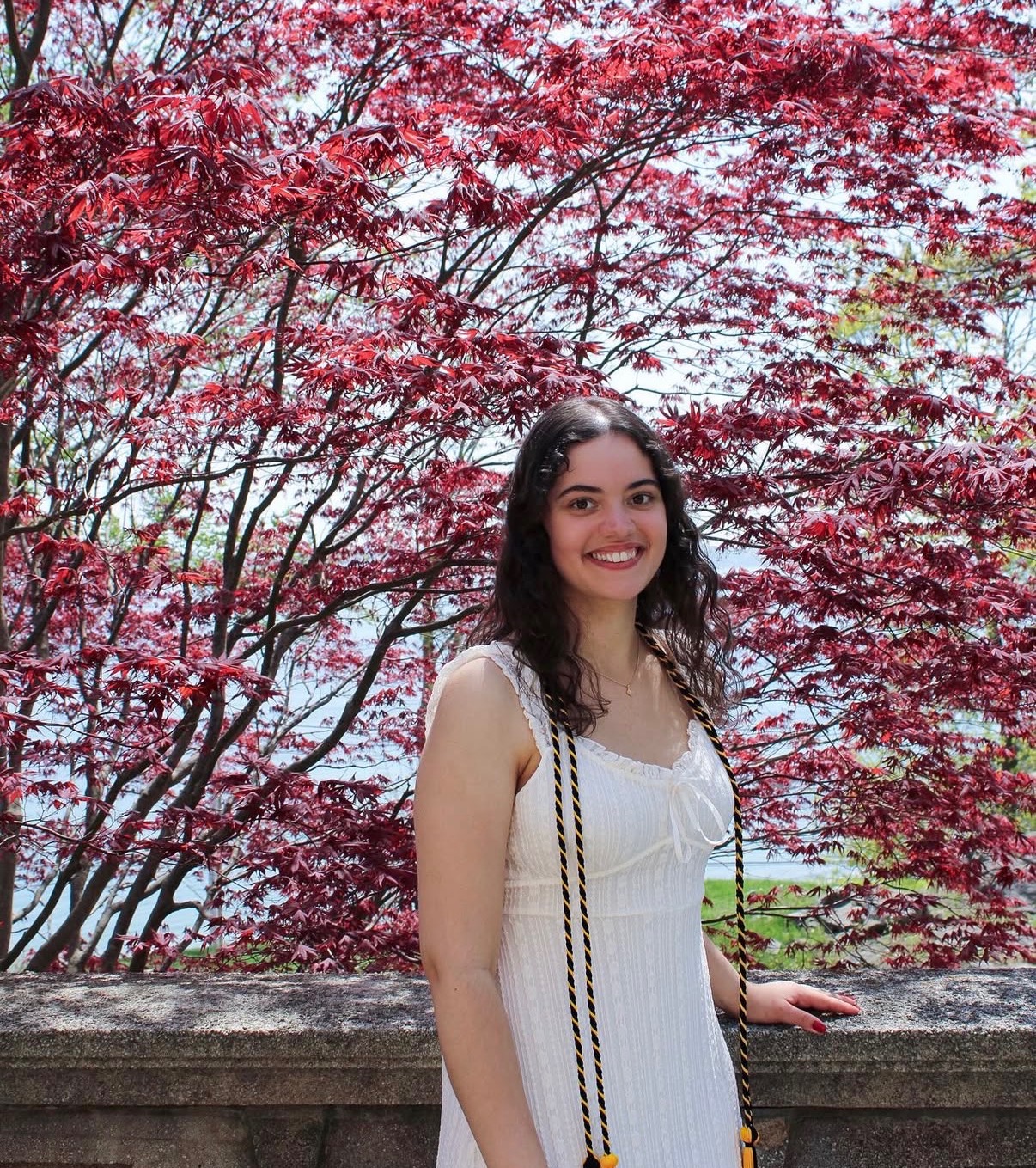 Graduation portrait with honor cords beneath a red maple